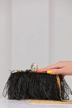 Harlow Feathered Box Clutch (Black)