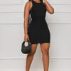Sophisticated Style Ribbed Dress (Black)