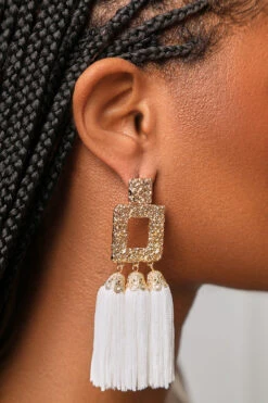 Abstract Tassel Drop Earrings