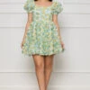Counting Flowers Mesh Babydoll Dress (Green Multi)- FINAL SALE