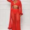 Evening Affair Sheer 3 Piece Set (Red)- FINAL SALE