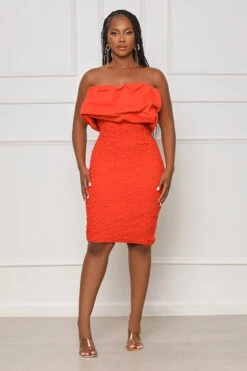 Majestic Thrive Textured Mini Dress (Red)