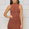 Call Me Fierce Ribbed Mini Dress (Brown)