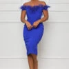 Feather Corset Midi Dress (Blue)- FINAL SALE